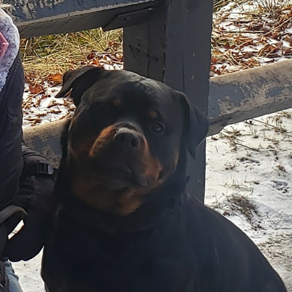 Meet your Posher, Eein